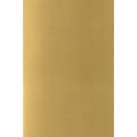 Порожек 40мм напольный алюминиевый с отверстиями Новосел,  золото анодированное
