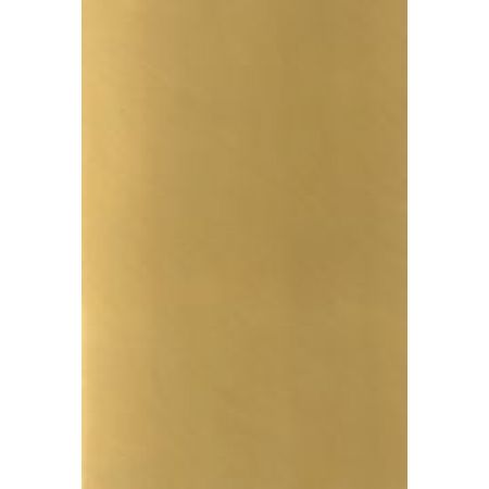 Порожек 60мм широкий напольный алюминиевый с отверстиями Новосел, золото анодированное